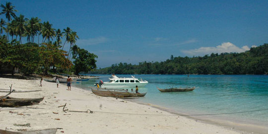 DPR: Bagaimana mau berdaulat jika kelola pulau diserahkan ke asing