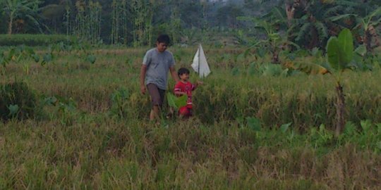 Majukan pertanian, Jokowi akan resmikan Aksi Pangan di Payakumbuh