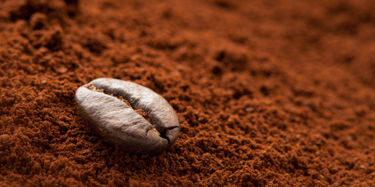 Nilai Ekspor kopi robusta asal Lampung meroket di Desember 2016