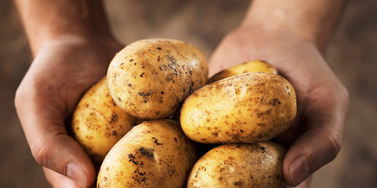 terlalu banyak konsumsi 6 makanan sehat ini malah racuni tubuh