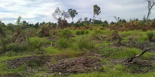 Lahan nganggur bakal kena pajak progresif, ini kata Perumnas