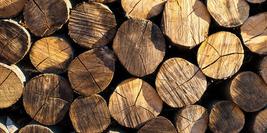 Jadi primadona, ekspor kayu SVLK RI tembus USD 700 juta di awal 2017