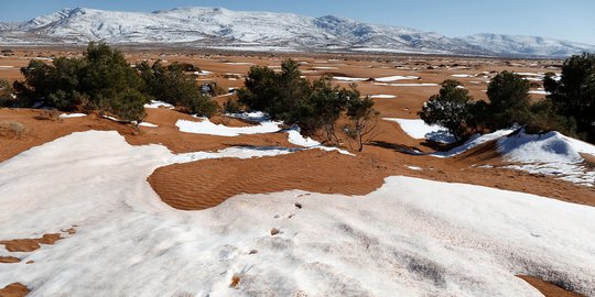 Penampakan fenomena langka Gurun Sahara diselimuti salju