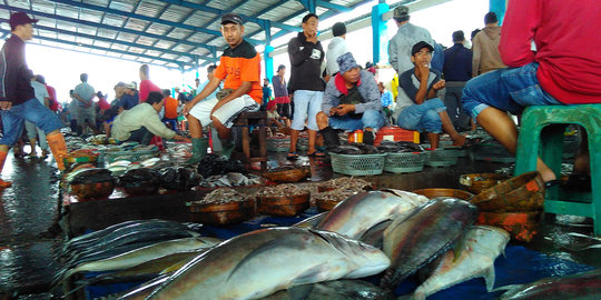Tangkapan nelayan berkurang, harga ikan di pelelangan Makassar naik