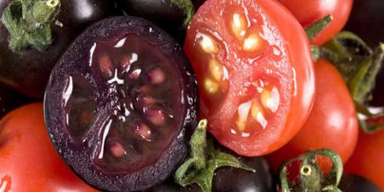 5 produk hasil mutasi genetika, keren!