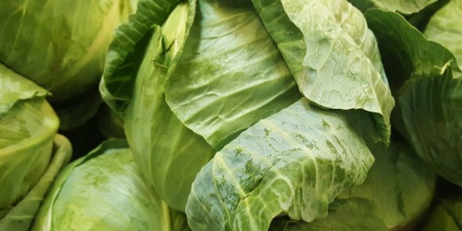 5 Produk hasil mutasi genetika, keren!