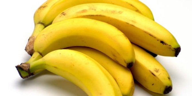 5 Produk hasil mutasi genetika, keren!