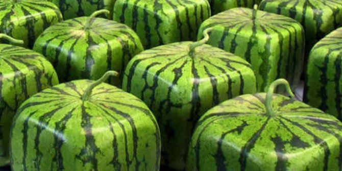 5 Produk hasil mutasi genetika, keren!