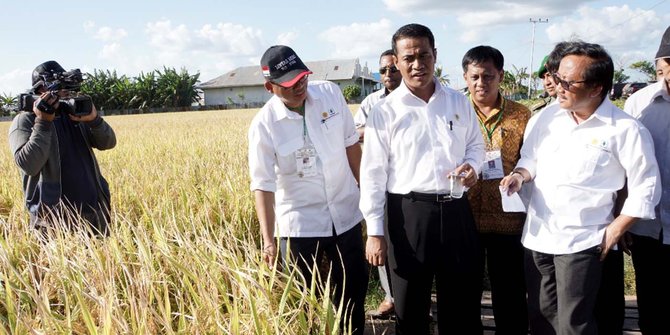 Indonesia Tak Lagi Ketergantungan Impor Beras