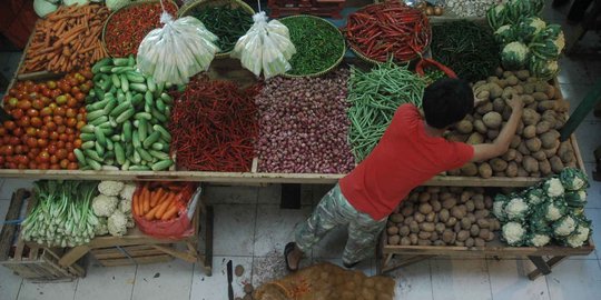 Pemerintah Jokowi pastikan kembalikan kejayaan pedagang pasar