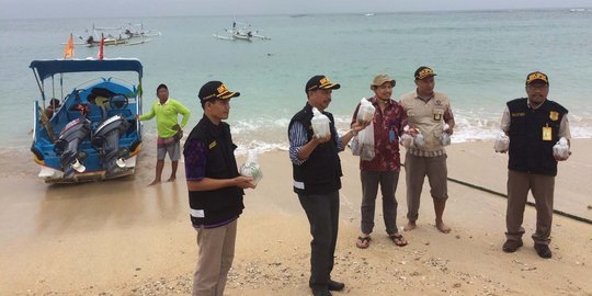 Hendak selundupkan koral, turis China diciduk di Bandara Ngurah Rai