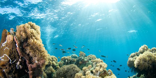 Kemenpar gandeng KKP kembangkan wisata bahari di Indonesia