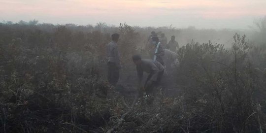 Kapolda Riau buru pengusaha ubah lahan negara jadi kebun sawit