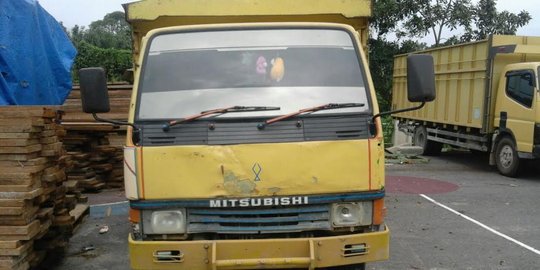 Curi kayu Taman Nasional Tesso Nilo di Riau, sopir & kernet Ditahan