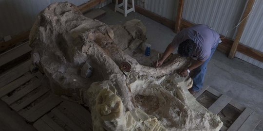 Penampakan tengkorak mamut berusia puluhan ribu tahun di Meksiko