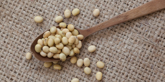 6 Hal tentang si kecil kacang kedelai yang tidak kamu tahu