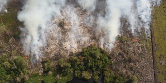 Lahan gambut di Riau terbakar, petugas masih berusaha padamkan api