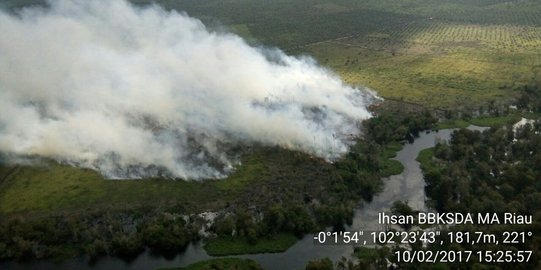 Patroli udara TNI AU kembali temukan lahan gambut yang terbakar