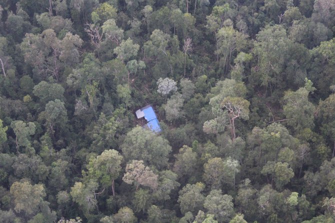 tni au temukan kebakaran hutan