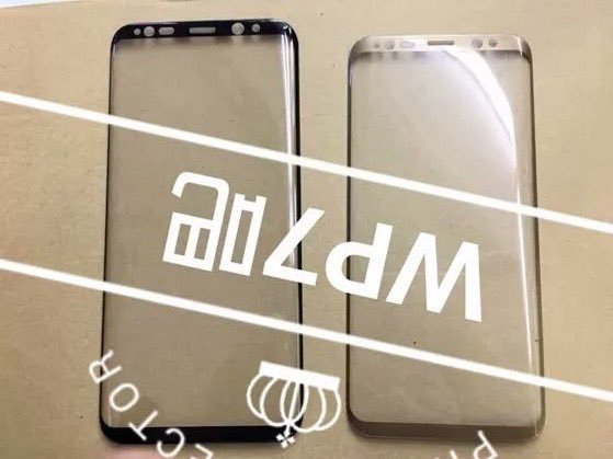 bocoran panel depan samsung galaxy s8