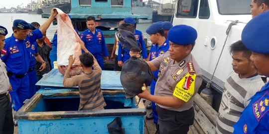 89 Ekor Trenggiling gagal diselundupkan ke luar negeri