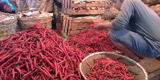 Cabai impor diburu warga, harganya cuma Rp 55.000 per Kg