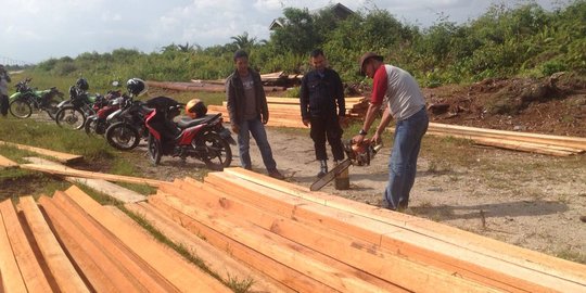 Selidiki kasus kebakaran hutan, polisi temukan kayu illegal logging