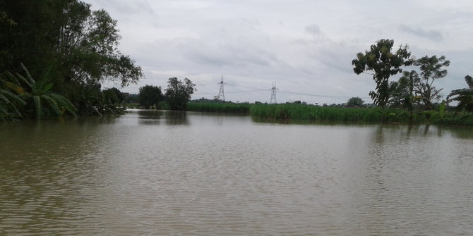 Ratusan hektare sawah kebanjiran, petani terancam gagal 