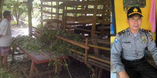 Ogah pungli, Ipda Bagus pilih nyambi menggembala kambing dan bebek