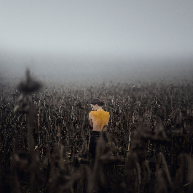 fotografi seni murni karya michal zahornacky