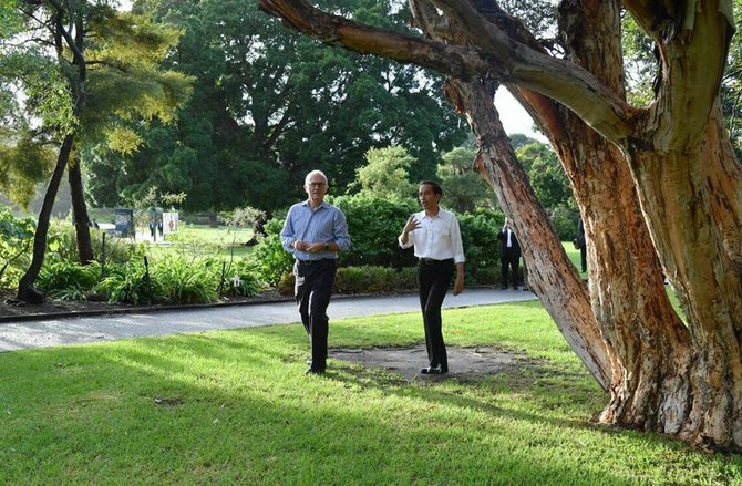 jokowi dan turnbull