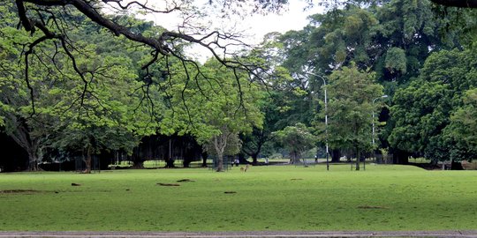 Lingkungan rusak, Kota Bogor bakal hadapi krisis air tanah