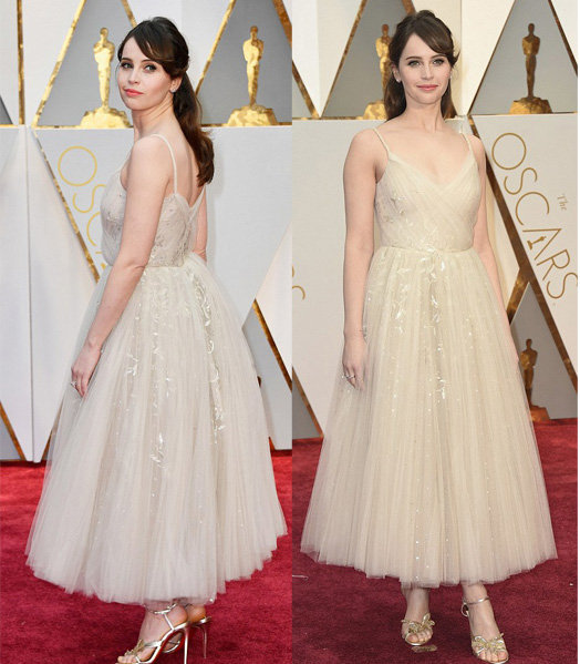 gaun mewah para selebriti di oscar 2017