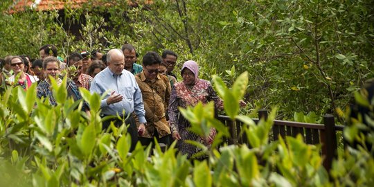 Dubes Amerika kagumi hutan mangrove Wonorejo Surabaya