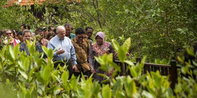 Dubes Amerika Kagumi Hutan Mangrove Wonorejo Surabaya