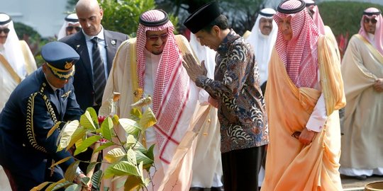 Jokowi dan Raja Salman tanam pohon kayu besi di Istana Merdeka