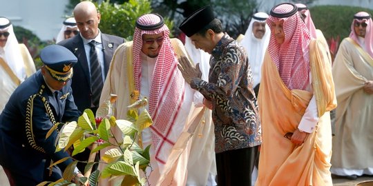 Video Jokowi angkat pohon buat ditanam Raja Salman di Istana Negara