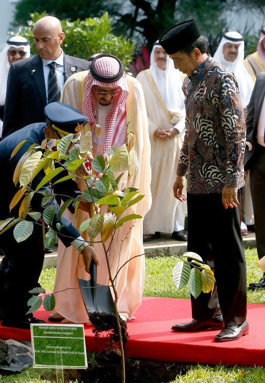 jokowi dan raja salman tanam pohon kayu besi