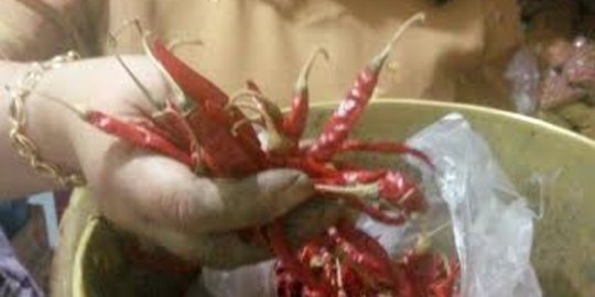 Cabai impor diduga asal China beredar di sejumlah pasar Kota Malang