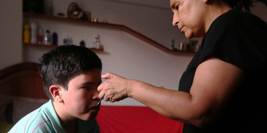 Menenangkan epilepsi dengan minyak ganja