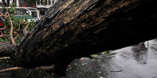 Pengunjung Pantai Nguyahan patah tulang tertimpa pohon tumbang