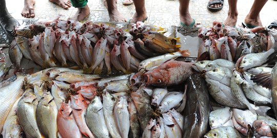 Cuaca buruk, harga ikan meroket 50 persen