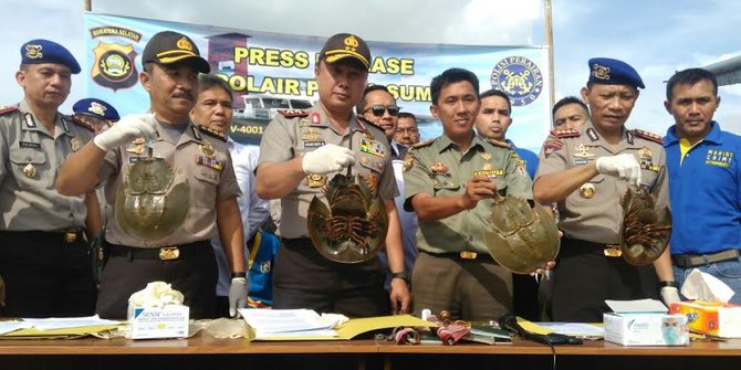 harga jual lebih tinggi 8 000 tapal kuda diselundupkan ke harga jual lebih tinggi 8 000 tapal kuda diselundupkan ke