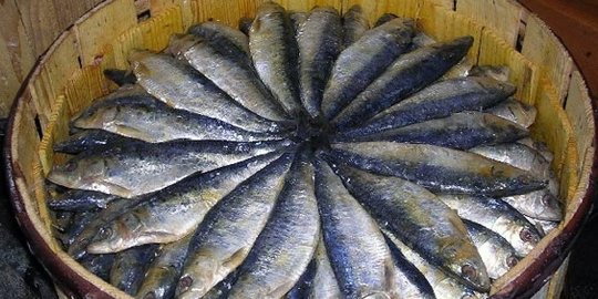 5 makanan menjijikkan yang ternyata kaya nutrisi, apa saja?