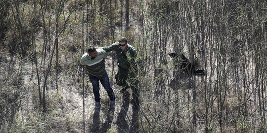 Imbas kebijakan Trump, imigran gelap asal Meksiko turun drastis