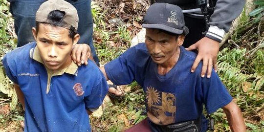 Tebang pohon di Suaka Margasatwa Pelalawan, 2 pelaku diciduk polisi