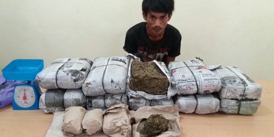 Bekuk 4 pengedar, Polres Pelalawan sita 10 kg ganja & 74 gram sabu