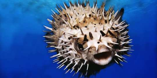 yang menyebabkan kelumpuhan dan kematian