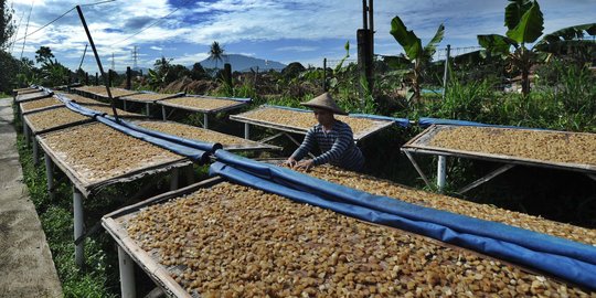 Melihat pembuatan kerupuk kulit sapi di Katulampa