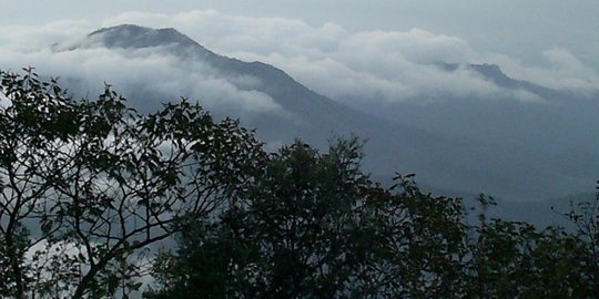 Rugikan petani, DPRD Jateng tolak eksplorasi panas bumi Gunung Lawu